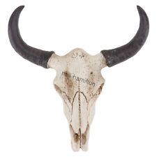 1x Long Huge Texas Longhorn Cow Skull Wall Hanging Horn Steer Western Decoration picture