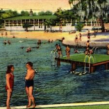 Vintage 1958 Tampa Bay, Fl. Linen Postcard Kids Swimming at Sulpher Springs Pool picture