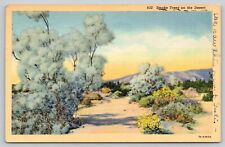 Postcard Smoke Trees On The Desert picture