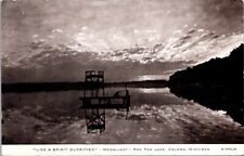 Vintage Postcard Moonlight on Paw Paw Lake Coloma Michigan MI 1949          3080 picture