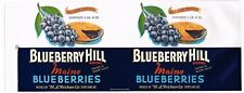 CAN LABEL VINTAGE ORIGINAL 1930S BLUEBERRY EMBOSSED HILL PIE PORTLAND MAINE picture