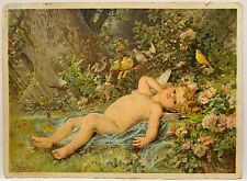 Nude Cherub Lies in Garden w Birds & Flowers Mellin’s Food Victorian Trade Card picture