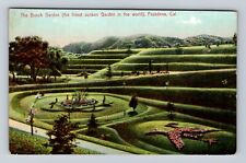Pasadena CA-California, Busch Garden, Sunken Garden, Antique Vintage Postcard picture