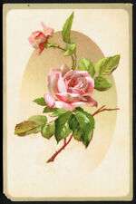 LION COFFEE Victorian Trade Card - Woolson Spice - two pink roses picture