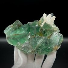 Okorusu Fluorite, Calcite Cluster 5 1/2