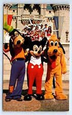 Walt Disney World WDW Goofy Mickey Mouse Pluto Castle Chrome Postcard c.1981 picture