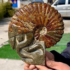 2.41LB Rare Natural Tentacle Ammonite Fossil Specimen Shell Healing Madagascar picture