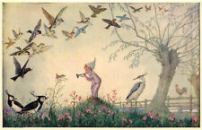 Fantasy Postcard Pk.231 by Molly Brett, Dawn Chorus Child Plays Flute For Birds picture