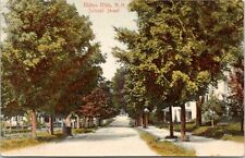 Milton Mills New Hampshire~School Street Homes~Houses Both Sides Road~1907 PC picture