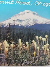 C 1960 Snow Capped Mount Hood Oregon in Spring Bear Grass Blossoms Postcard picture