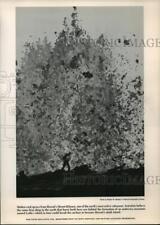 1990 Press Photo Molten rock sprays from Hawaii's Mount Kilauea - mja27053 picture