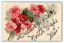 c1910 Pink Flowers, Greeting from North Cape Wisconsin WI Antique Postcard picture