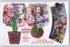 Tuck Postcard The Window Garden Hyacinth's Flower Pot Directions Oilette c1910's picture