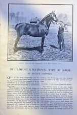 1907 Breeding an American Type Of Horse Fort Collins Eugene Grubb W L Carlyle picture