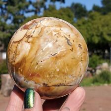 Petrified Wood Fossil Crystal Sphere | A Grade | 518 Grams | 1lbs 3oz | 74mm picture