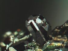 MELANITE RARE MINERAL MICROMOUNT FROM ITALY picture