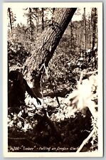 Postcard Timber Falling an Oregon Giant 16700 Sawyer RPPC C88 picture