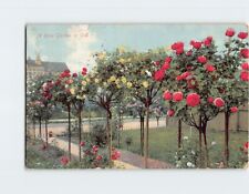 Postcard A Rose Garden in California picture