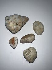 Charlevoix Honeycomb Fossil Lot Of 5 Fossils 2.04 Oz - S32 picture