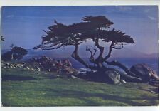 CYPRESS AND SEA 17 mile drive Golf postcard A2 picture