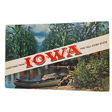 Postcard Greetings From Iowa The Tall Corn State Banner Card Chrome Unposted picture