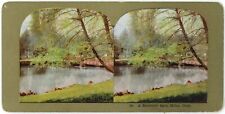 c1900's Colorized Stereoview Card 98 A Beautiful Spot, Milan Italy River Trees picture
