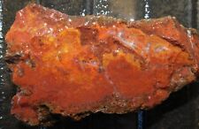 Walker Ranch Red Orange Agate lapidary cabbing rough chunk from Texas 1 lb 11 oz picture