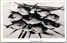 Blue Grils Roscommon Michigan MI Small Fish Postcard picture
