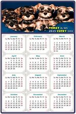 2025 Magnetic Calendar - Today is My Lucky Day - Dogs Themed 08 (8 x 5.25) picture