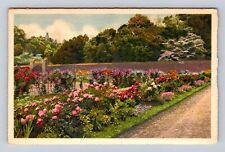 Biltmore NC-North Carolina, Walled Garden, Biltmore House, Vintage Postcard picture
