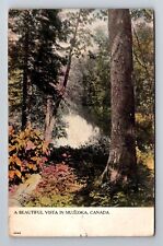 Muskoka-Ontario, A Beautiful Vista in Muskoka, Vintage Souvenir Postcard picture