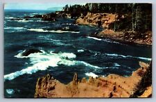 Postcard Boiler Bay State Park Newport Oregon Union Oil 76 Ocean c1941 Unposted picture