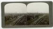 WWI GERMAN PRISONERS CAPTURED BY THE BRITISH ON THE SAMBRE Stereoview 318_11 picture