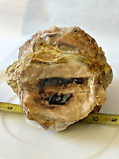 petrified wood 6lbs rough agatized opalized special chalcedony agate collection picture