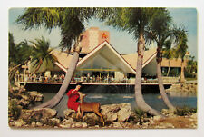 Tampa Bush Gardens Woman Deer Florida Postcard  picture