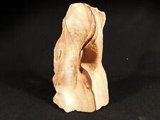 Abstract Navajo SANDSTONE ARCH Sculpture with Hematite From Utah 860gr picture