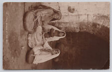 RPPC Real Photo Postcard Two Women at the Mill Grind Grain picture