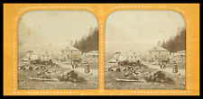 France, Savoy, Chalets au Mont Blanc, ca.1870, day/night stereo (French Tissue) picture