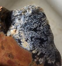Beautiful Priday Thunderegg Rare Plume Agate End Cut from Madras Oregon (42gram) picture