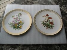 LOT OF 2 BOEHM STUDIOS COLLECTOR'S  PLATES, LARGE picture