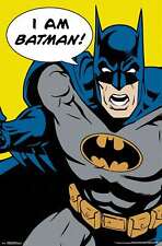 DC Comics - Batman - I Am Batman Poster picture