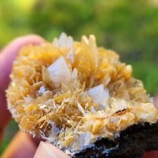 Rare Finest Piece of Barite Specimen from Morocco, 46gm, US TOP Crystals picture
