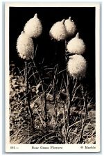 Marble Postcard RPPC Photo Bear Grass Flowers c1940's Unposted Vintage picture