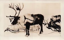 RPPC Alaska Reindeer Caribou Sled Santa Clause Christmas Photo Postcard E30 picture