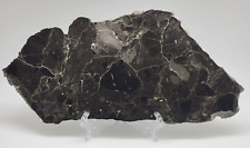 Alamo meteorite Impact Breccia from Nevada - Polished on one side 492g picture