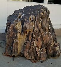 Ancient 27 lb Large natural Shape PETRIFIED WOOD Stump  display Specimen  R11 picture