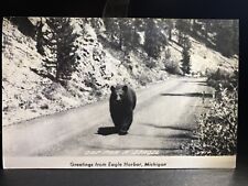 Rppc Huge Bear   Eagle Harbor Mi Michigan Black Bear  1952 postcard photo picture