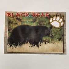 Maine Black Bear Paw Print Cutout Wilderness Scene Post Card picture