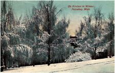 The Birches in Winter Petoskey Michigan MI Snow Covered Trees 1910s Postcard picture