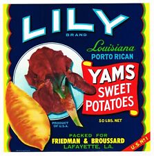 C1950S ORIGINAL YAM CRATE LABEL LILY FLOWER LAFAYETTE LOUISIANA NOS ADVERTISING picture